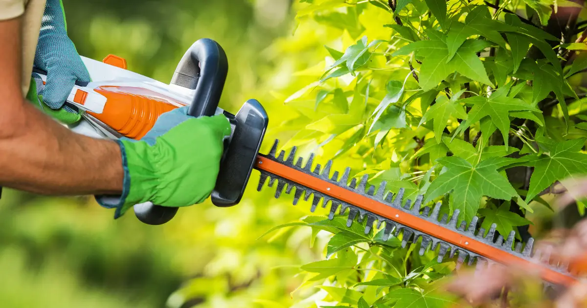 Entretien de jardin pour particuliers : service à la personne à Évreux