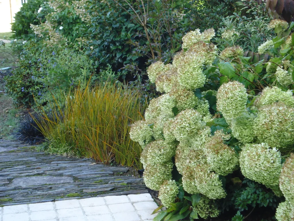 Barbedette Paysage, votre architecte paysagiste dans l’Eure