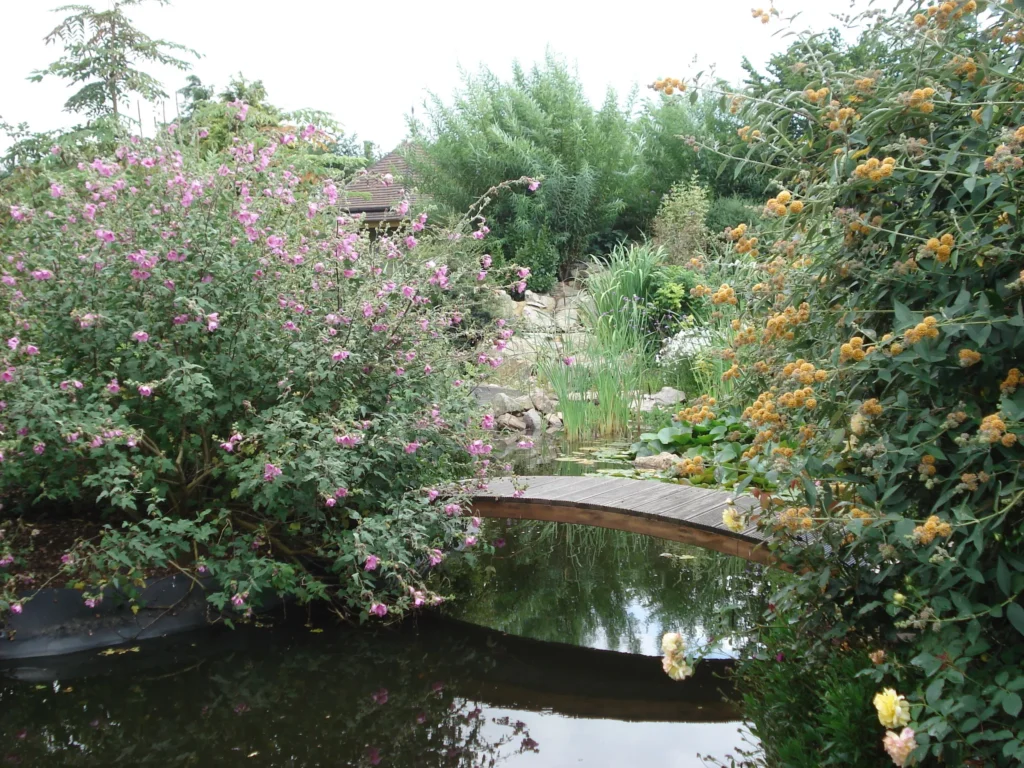 Barbedette Paysage, votre architecte paysagiste dans l’Eure